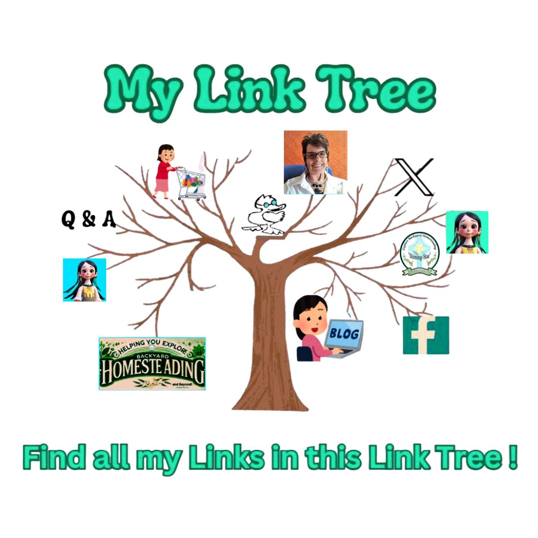 Link Tree