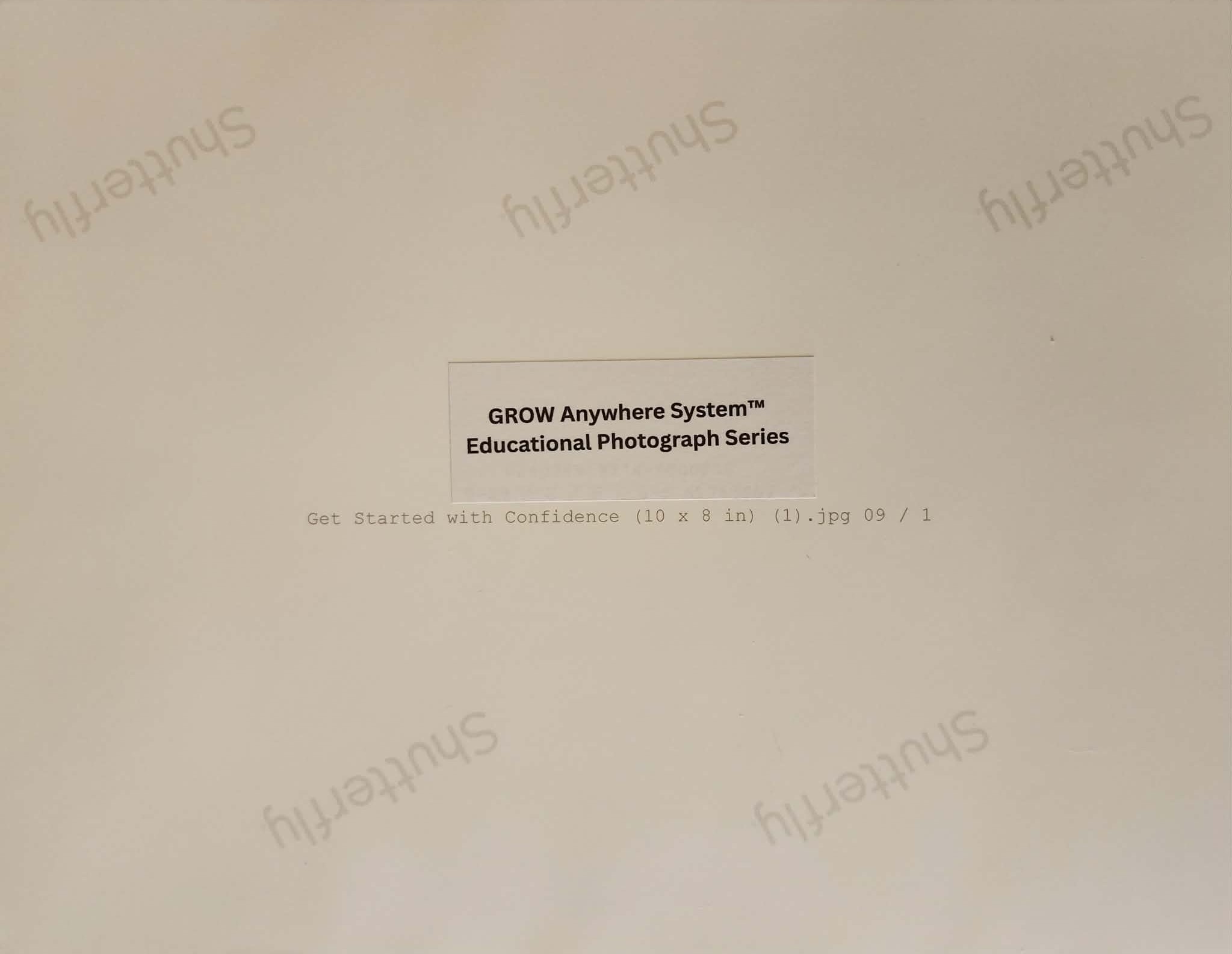 Sunny Stella™ Explores the Desert: Nature-Based Learning Print (8×10)