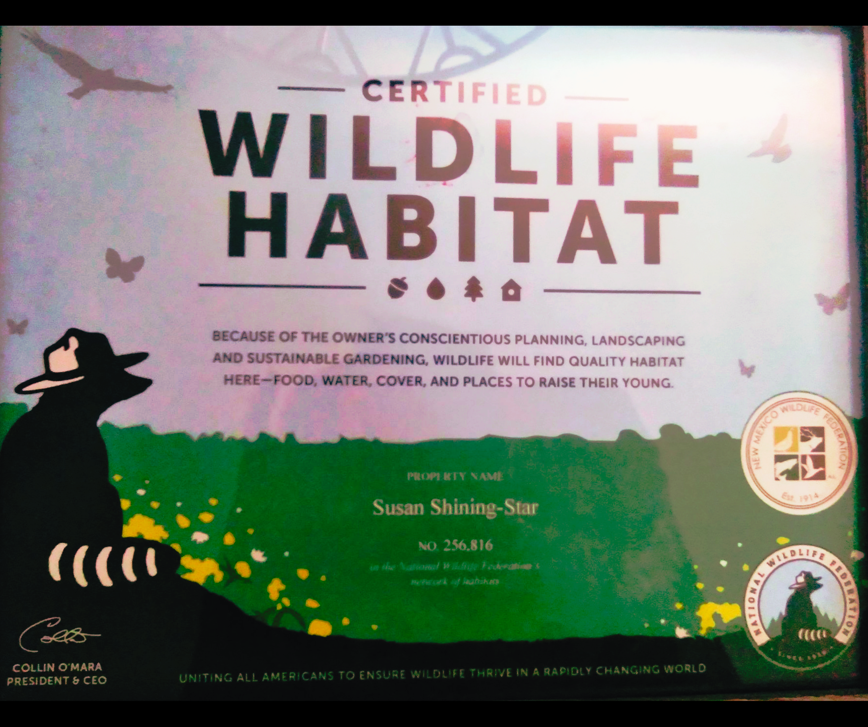 Certified Wildlife Habitat® certificate awarded to Susan Shining-Star by the National Wildlife Federation for providing food, water, cover, and places for wildlife to raise their young.